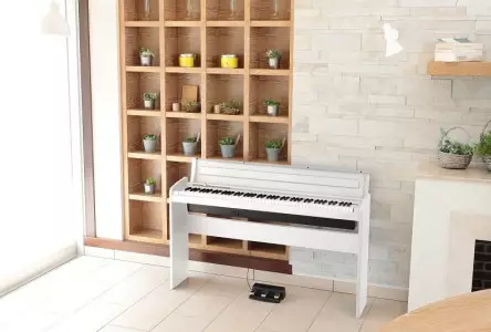 مشخصات پیانو کرگ
